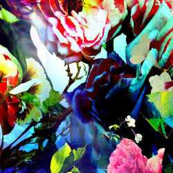 Agnieszka Zieba Agnieszka M. Zieba