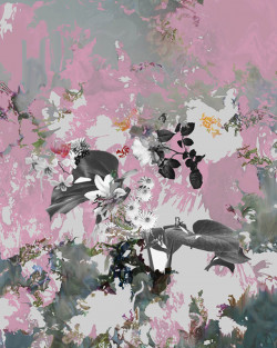 "Invitation 4", Fotografie/ Hahnemühle Fine Art Papier Smooth, 60 x 75 cm, 2020, 1/15, 850,00 Euro Zieba