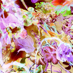 "Flare #08", Fotografie/Fine Art Print kaschiert auf Holz unter Kunstharz, 15 x 15 cm, 2015, ED 2/20, 240,00 Euro Zieba