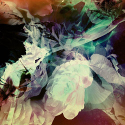 "Flare#10", Fotografie/Fine Art Print kaschiert auf Holz unter Kunstharz, 15 x 15 cm, 2015, ED 1/20, 240,00 Euro Zieba
