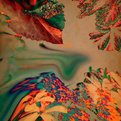 "Flare#12", Fotografie/ Fine Art Print kaschiert auf Holz unter Kunstharz, 15 x 15 cm, 2015, ED 1/20, 240,00 Euro