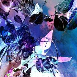 "Flare#15", Fotografie/ Fine Art Print kaschiert auf Holz unter Kunstharz, 15 x 15 cm, 2/20, 240,00 Euro Zieba