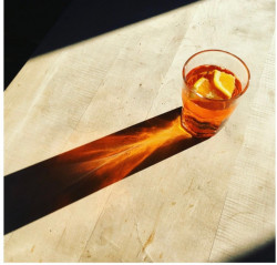 Abele Foto 2 Abele Foto 2