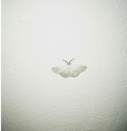 "10", Fotografie kaschiert auf Holz, 2019, 70 x 70 cm, 320,00 Euro Abele Foto 3