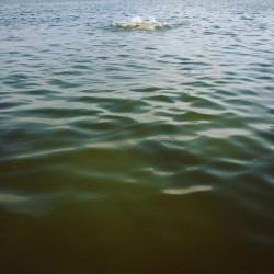 "Seeungeheuer", Fotografie kaschiert auf Holz, 2019, 70 x 70 cm, 700,00 Euro Abele Foto 6