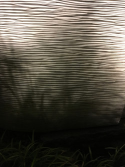 Abele Foto 9 Abele Foto 9