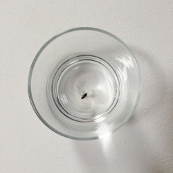 Abele Foto 12 Abele Foto 12