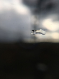 Abele Foto 18 Abele Foto 18