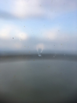 "A", Fotografie kaschiert auf Holz, 2019, 66x50 cm, 580,00 Euro Abele Foto 19