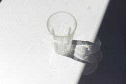 "ARP", Fotografie kaschiert auf Holz, 2019, 46 x 70 cm, 580,00 Euro Abele Foto 20