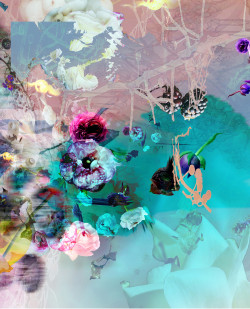 Fragmented #04 Fineart Print auf Metallic Gloss Papier kaschiert auf AluDibond unter Kunstharz, 100x80 cm, 2021, Edition von 9, 2.300,00 EUR Agnieszka M. Zieba, Fragmented #04 Fineart Print auf Metallic Gloss Papier kaschiert auf AluDibond unter Kunstharz