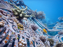 Teguh Ostenrik, Kunstwerk im Riff