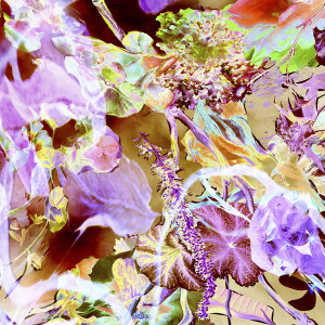 Kunstausstellung Elements, Nettersheim, Agnieszka M. Zieba, Antonius Kho, 2019
