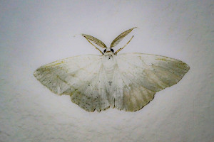 Kunstausstellung Inspire!, Köln 2021