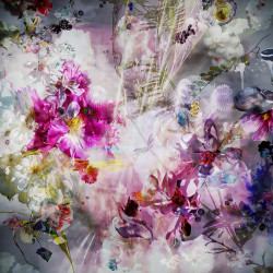 Awakening #04, 2017, Finart print on Metallic Gloss Paper, concealed on AluDibond under resin, 70 x 70cm, 1.900 EUR Agnieszka Zieba, Ausstellung True Colors 2022: Awakening 4B2, Druck